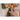 Riviera Series 4" Paring Knife