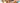 Arcos Forest Collection category banner