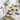 Riviera Series 5.5" Santoku Knife